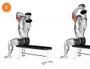 Arm extensions with dumbbells