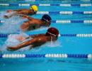 What is the name of the world sports organization for swimming?